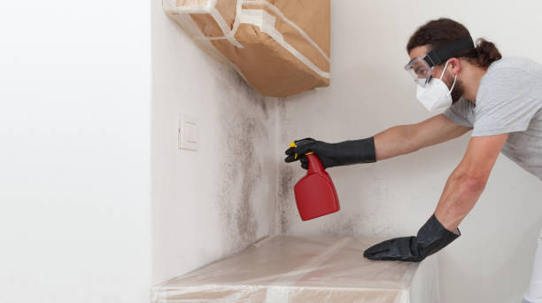 Professional Attic Mold Remediation technician working in Newton, NJ