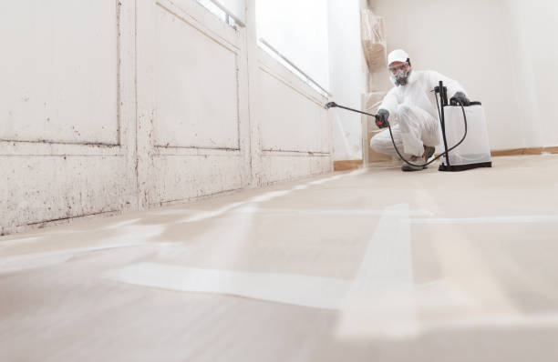 24/7 Emergency Attic Mold Remediation experts in Newton, NJ