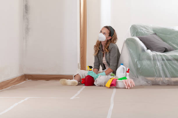 Reliable Attic Mold Remediation contractor in Newton, NJ by Car Mold Remediation
